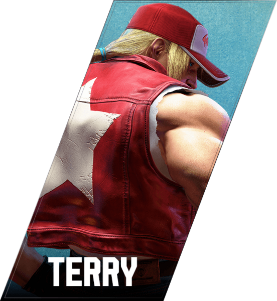 File:SF6 Terry Face.png